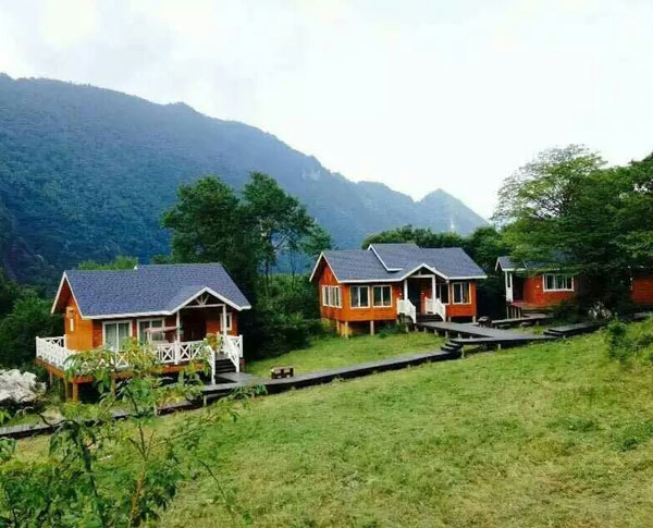 1668133965310712.jpg 1668133965310712.jpg