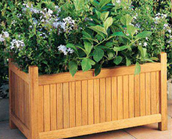 1669358450463216.jpg 1669358450463216.jpg